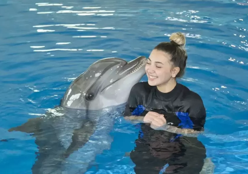 Dubai Dolphin Show Tickets